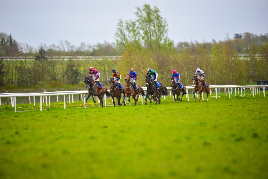 The field of runners racing along the far side of the course